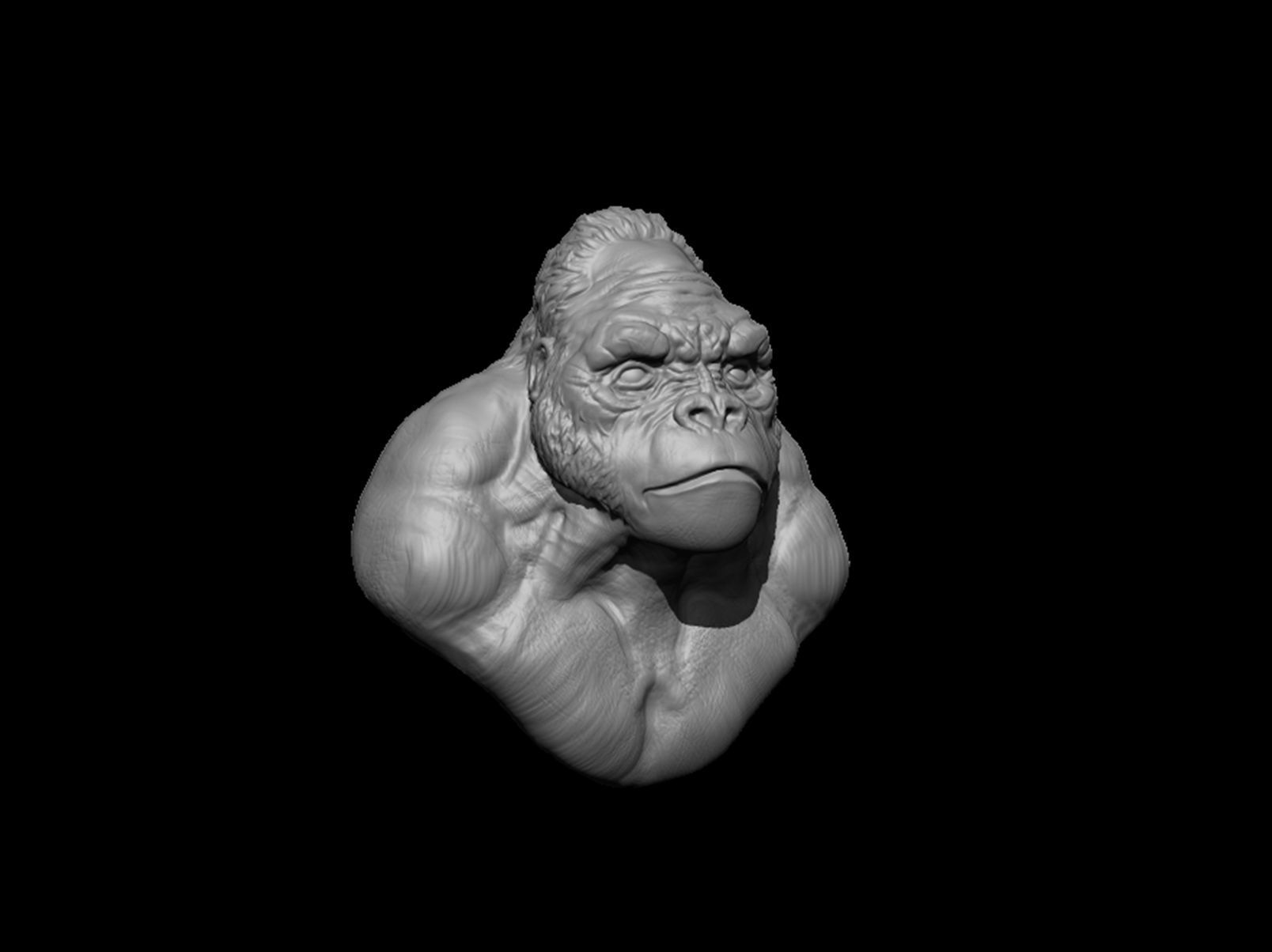 Bust of Garilla  3D print model_7