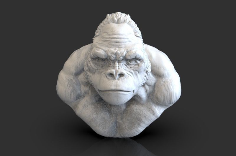 Bust of Garilla  3D print model_5