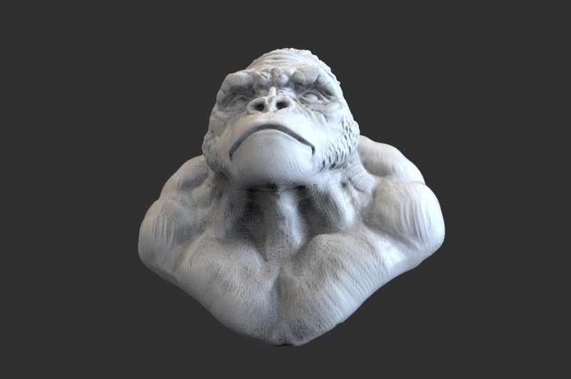 Bust of Garilla  3D print model_6