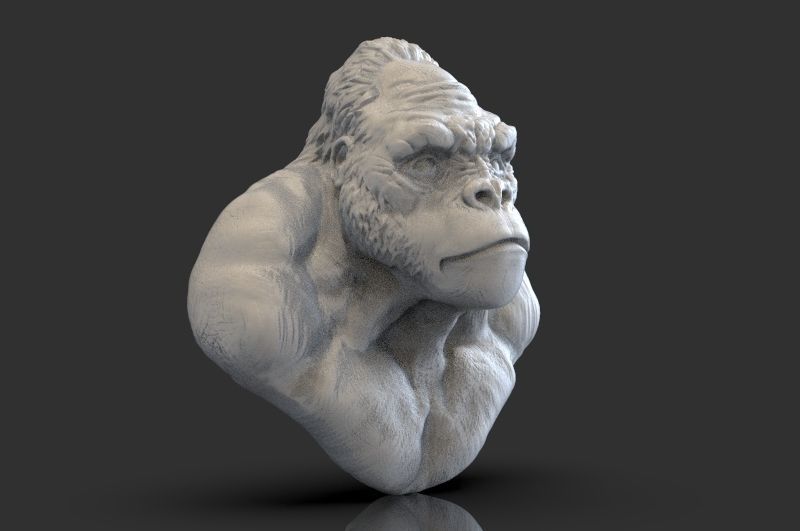 Bust of Garilla  3D print model_11