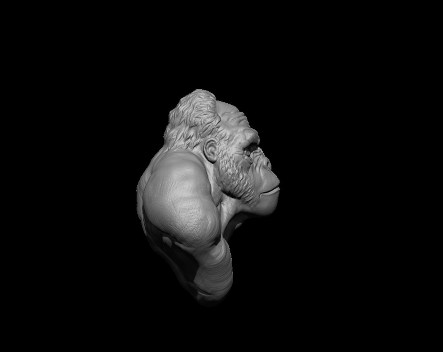 Bust of Garilla  3D print model_9
