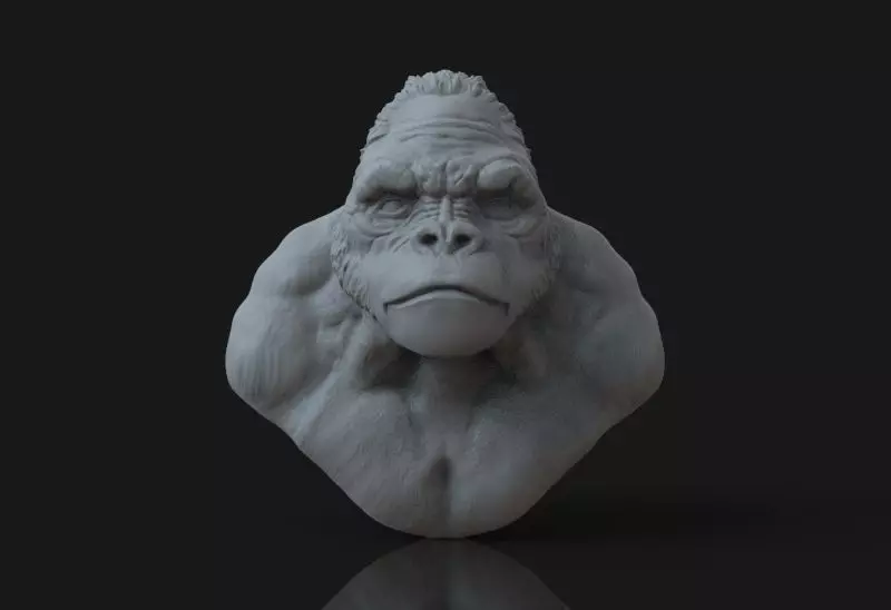 Bust of Garilla  3D print model_0