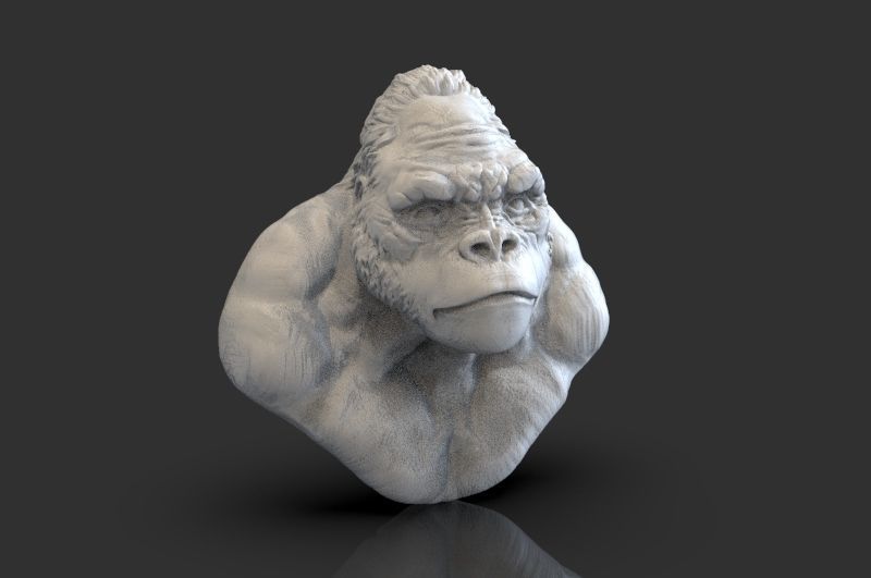 Bust of Garilla  3D print model_2