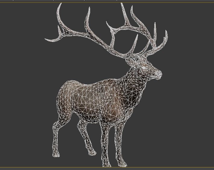 elaphurus deer buck stag reindeer doe Low-poly 3D model_11