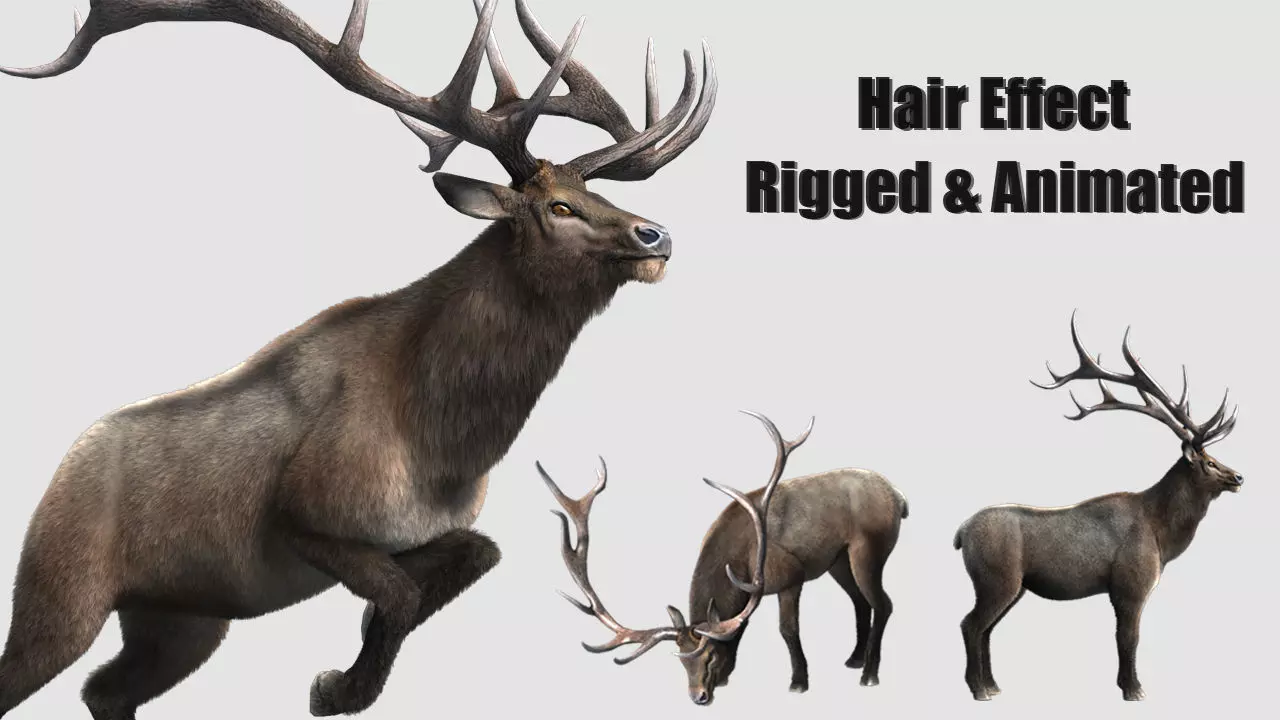 elaphurus deer buck stag reindeer doe Low-poly 3D model_0