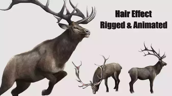 elaphurus deer buck stag reindeer doe Low-poly 3D model