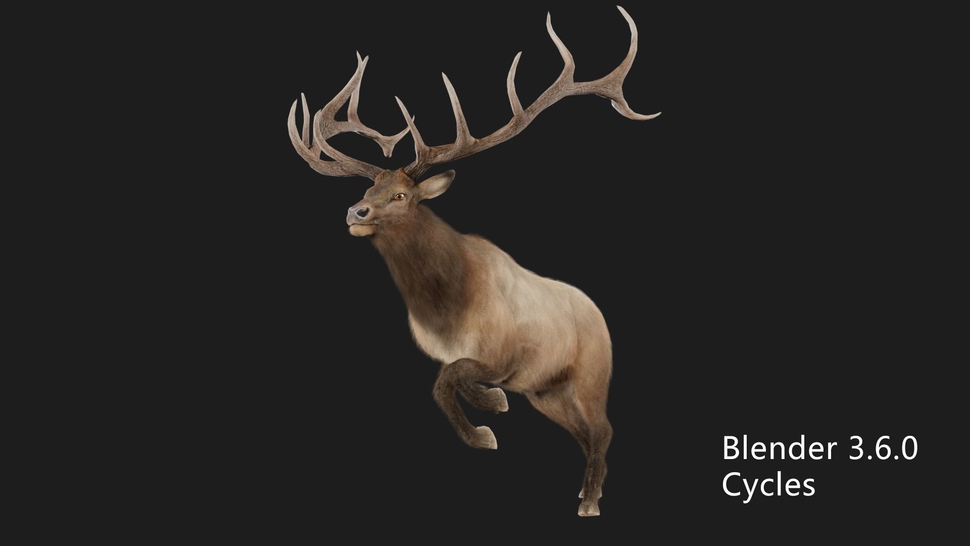 elaphurus deer buck stag reindeer doe Low-poly 3D model_7