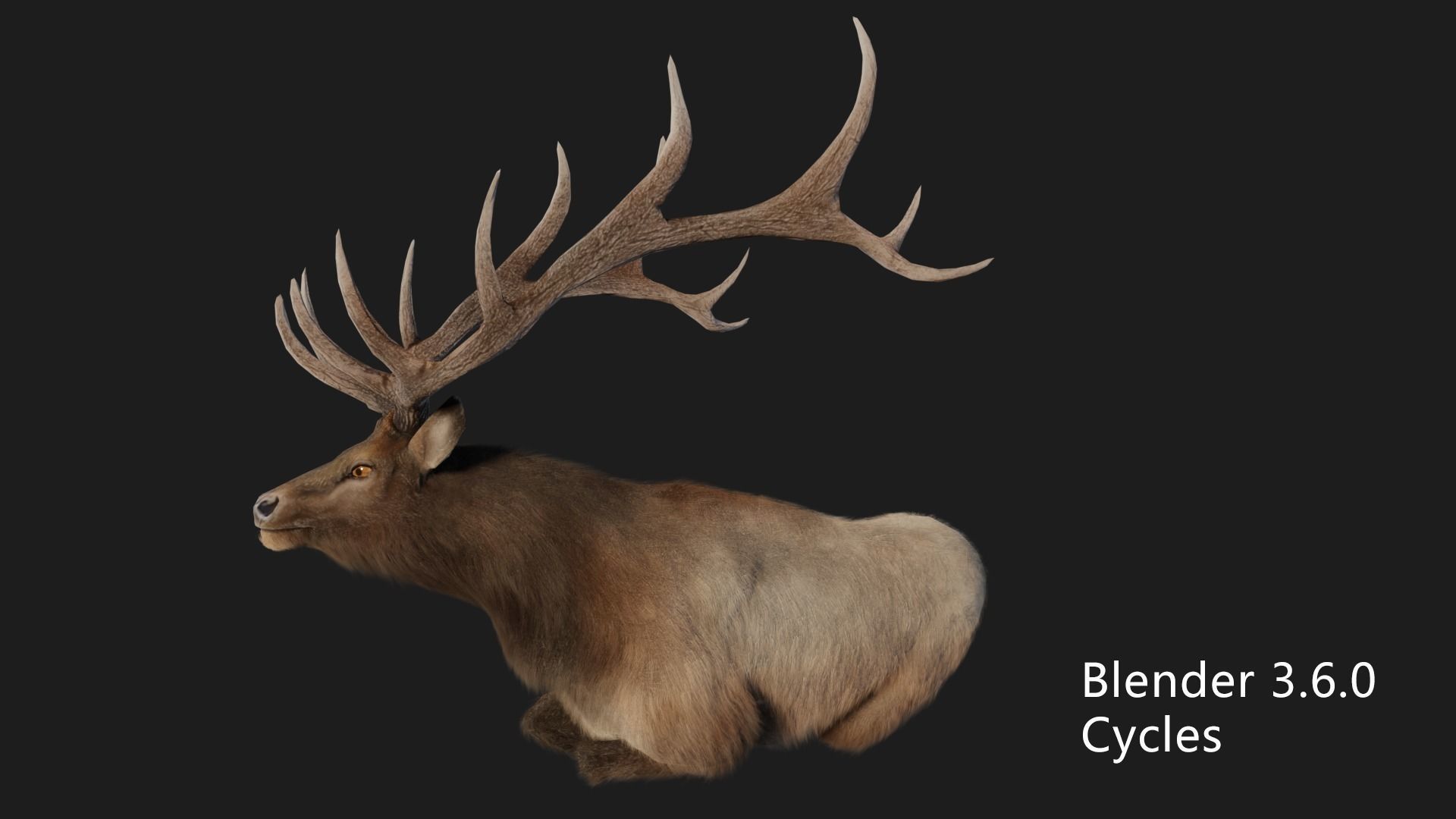 elaphurus deer buck stag reindeer doe Low-poly 3D model_6
