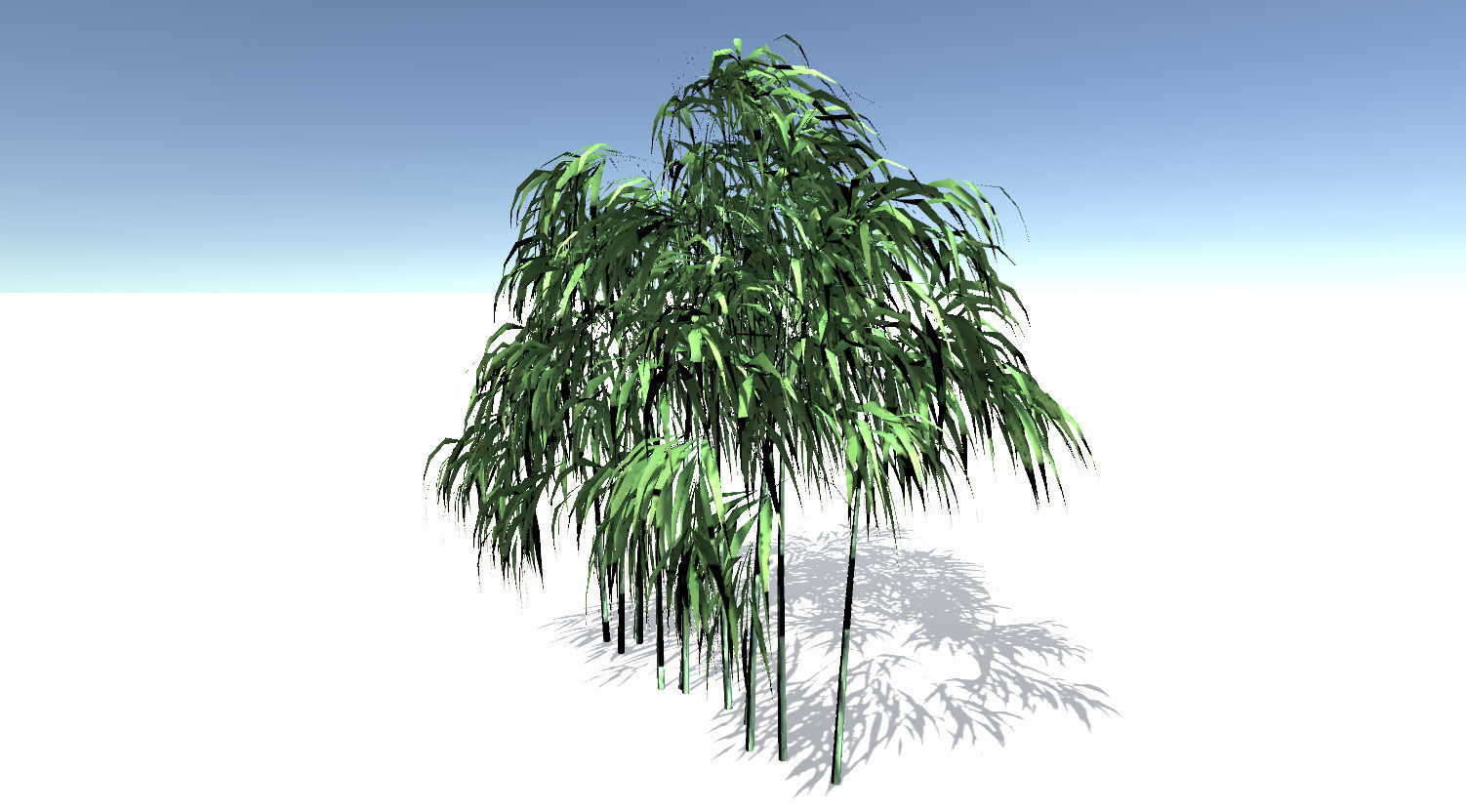Bamboo Tree 3D model_3