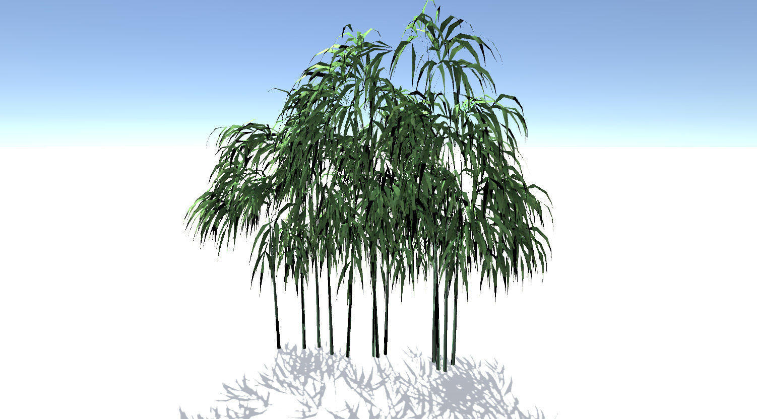 Bamboo Tree 3D model_2