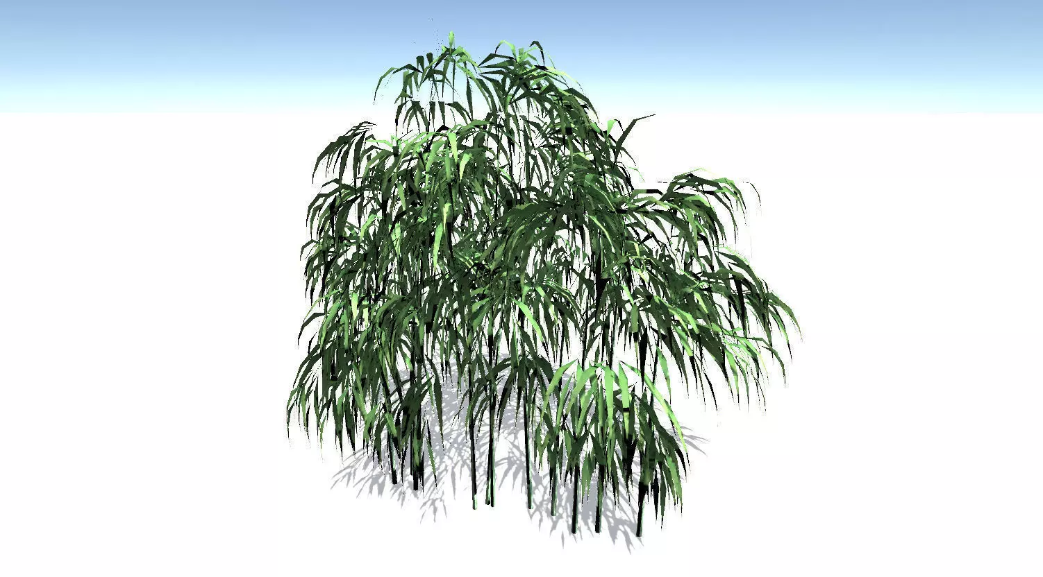 Bamboo Tree 3D model_0