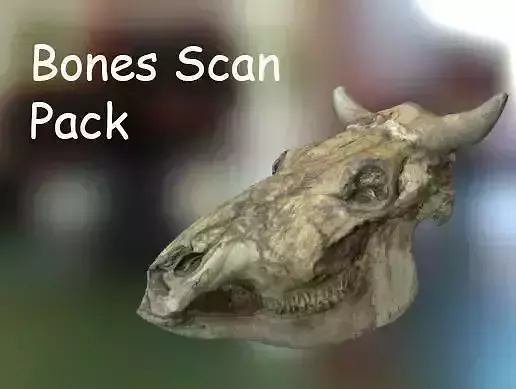 PBR Bones Scan Set Low-poly 3D model