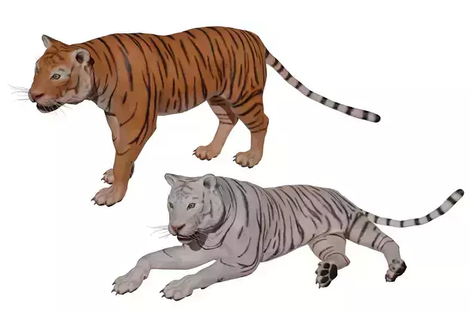 Tiger Low-poly 3D model