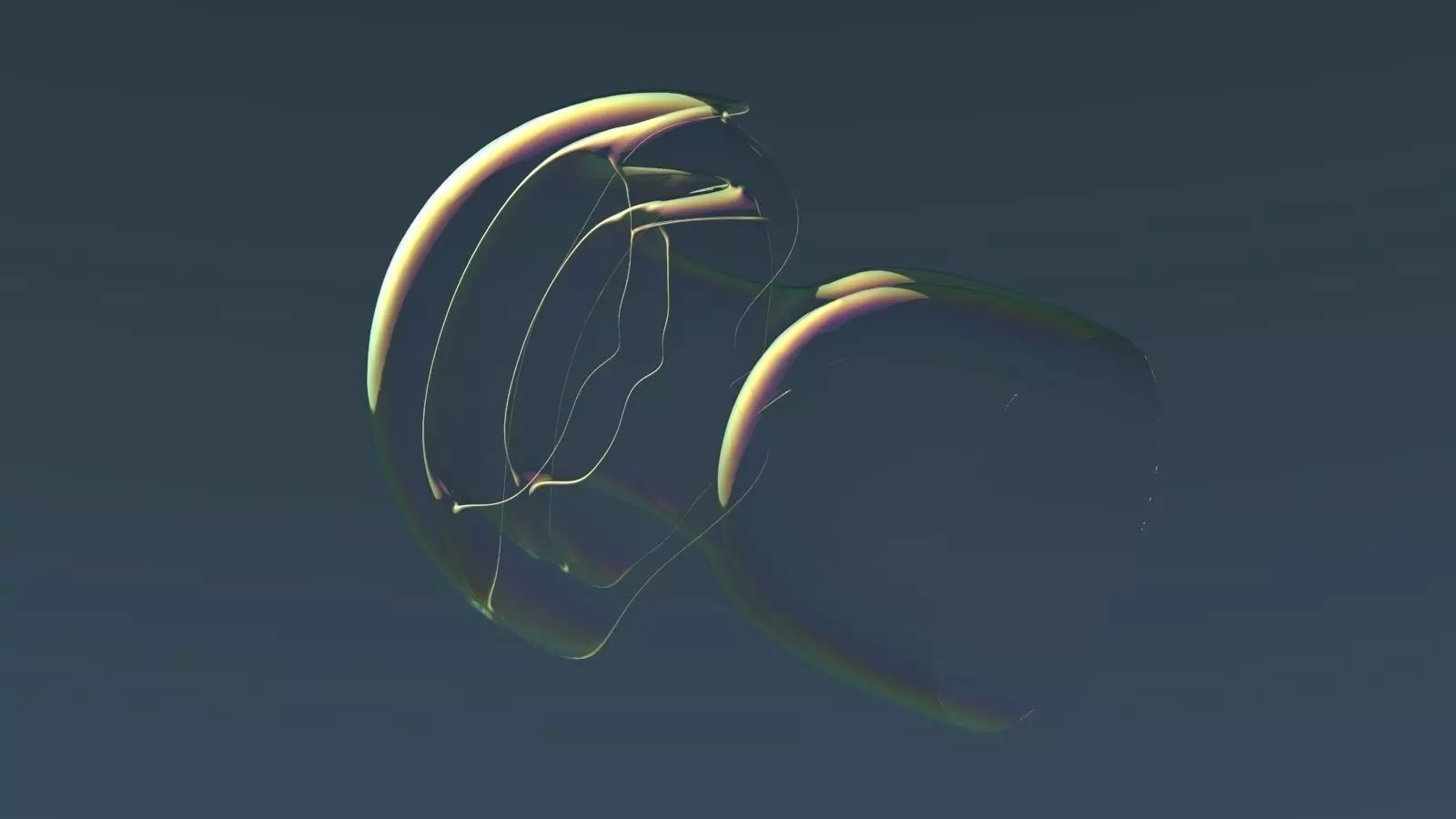 Jelly fish Free 3D model