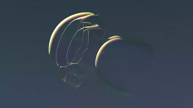 Jelly fish Free 3D model