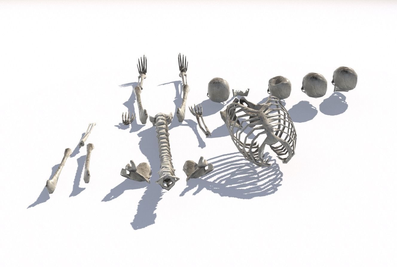 Old Bones Pack PBR Low-poly 3D model_4