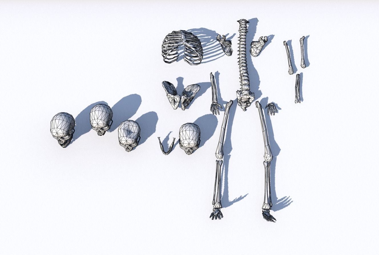 Old Bones Pack PBR Low-poly 3D model_7
