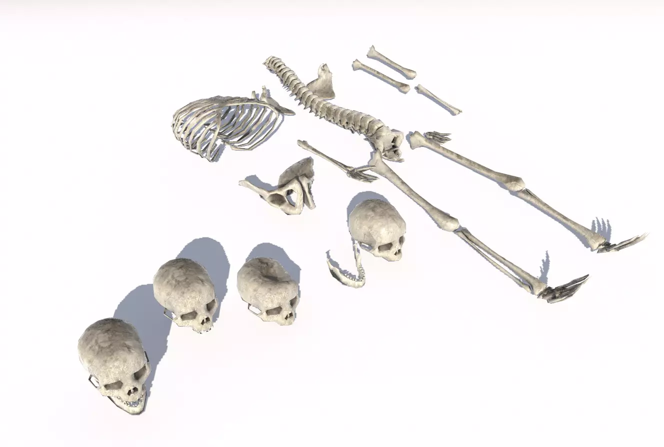 Old Bones Pack PBR Low-poly 3D model_0