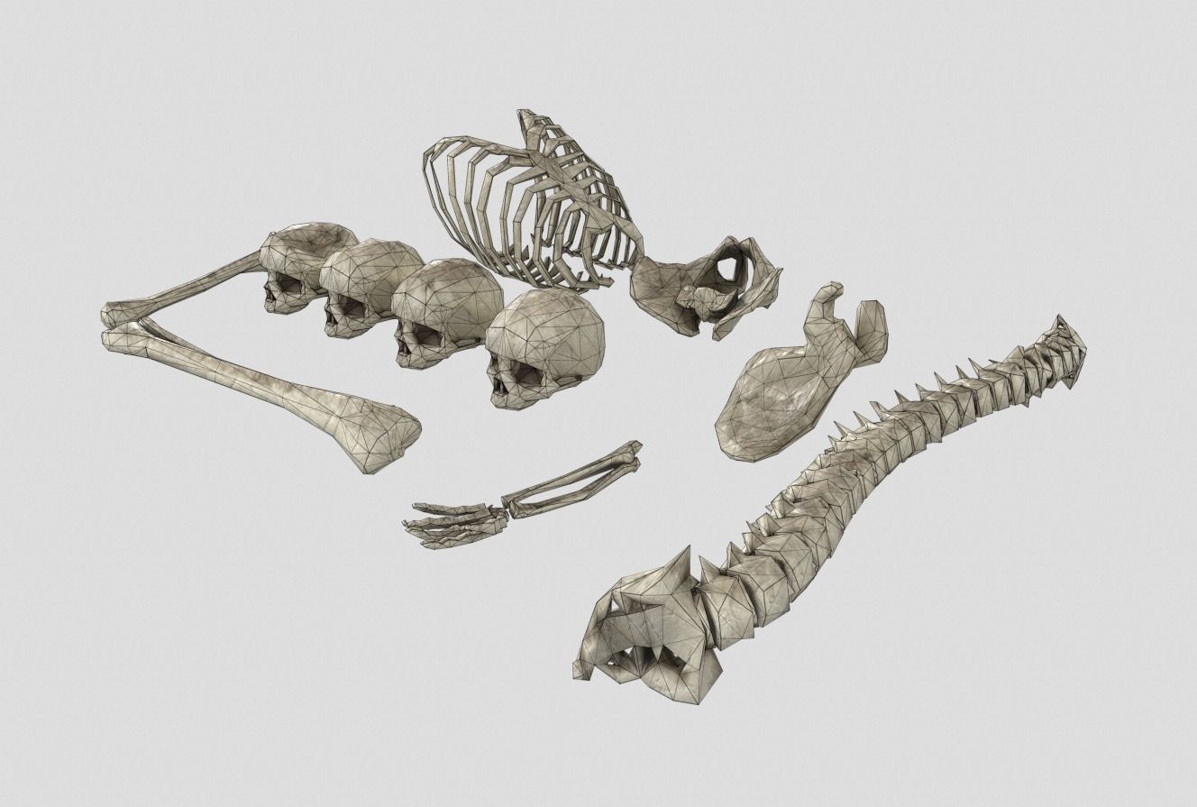 Old Bones Pack PBR Low-poly 3D model_6