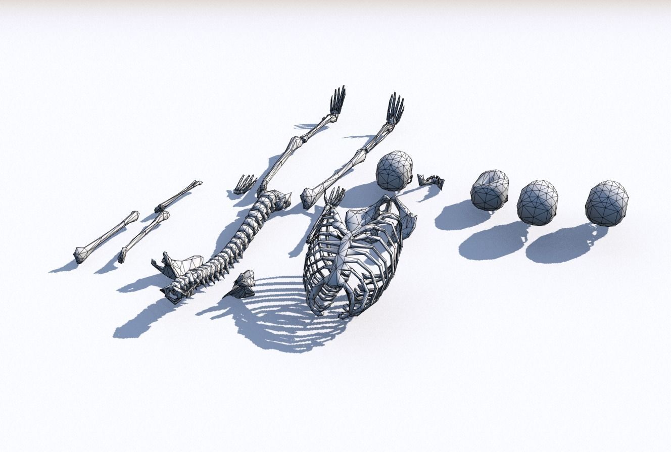 Old Bones Pack PBR Low-poly 3D model_8
