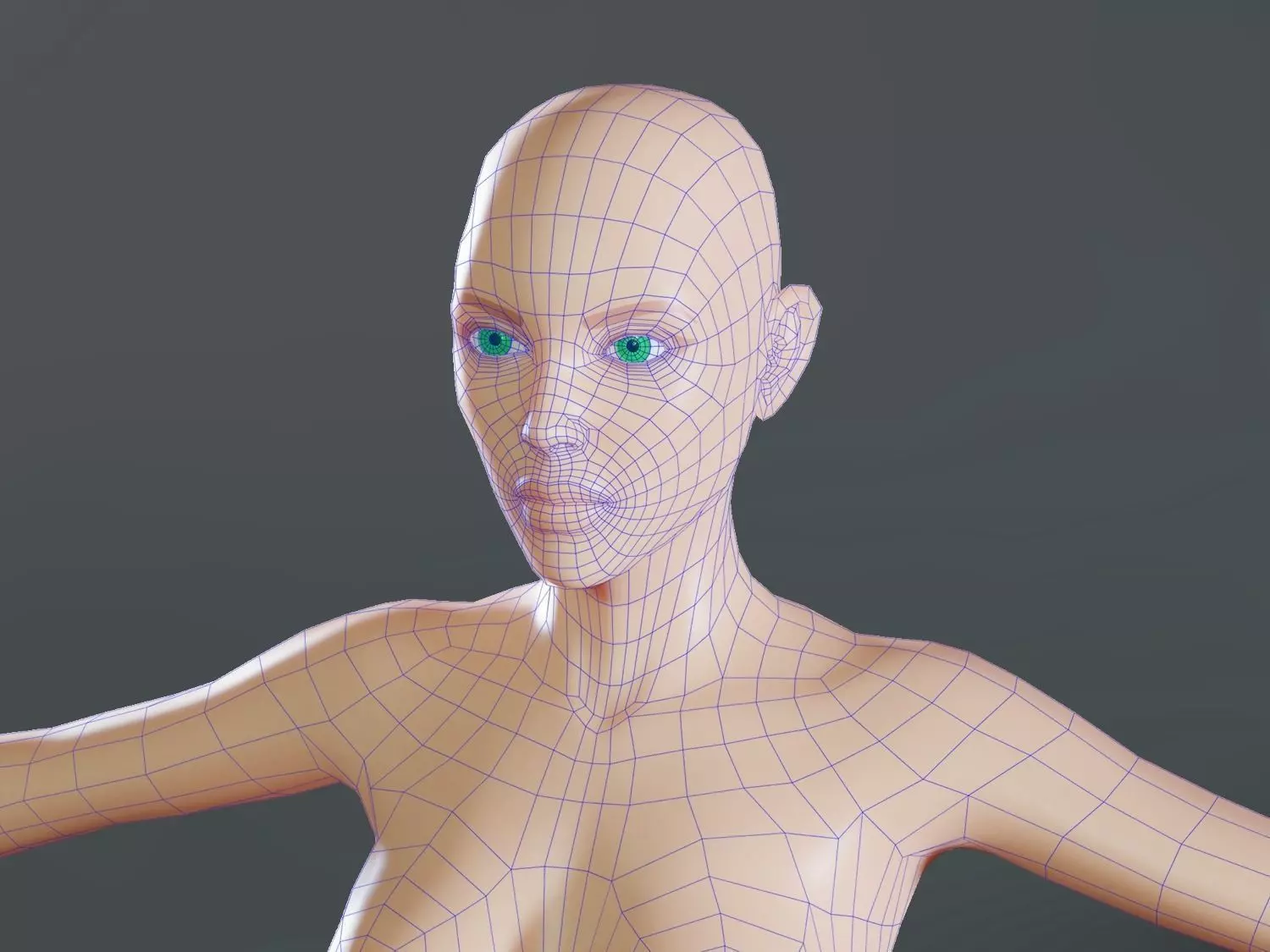 Female base mesh topology Low-poly 3D model_0