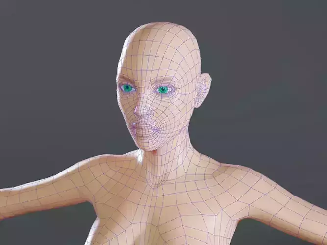 Female base mesh topology Low-poly 3D model