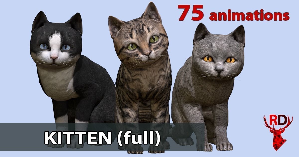 Kitten full Low-poly 3D model_1