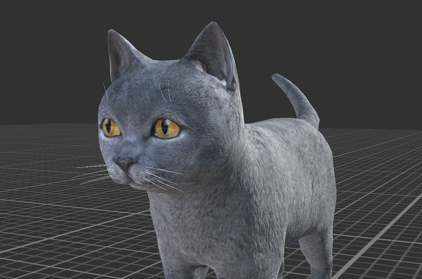 Kitten full Low-poly 3D model_7