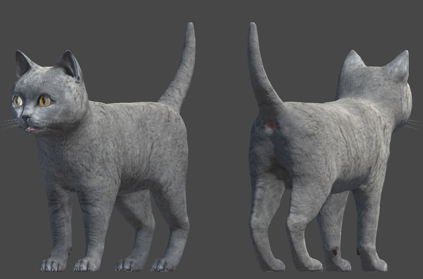 Kitten full Low-poly 3D model_8