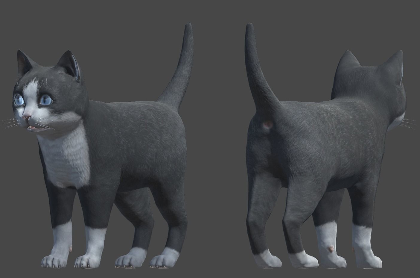 Kitten full Low-poly 3D model_10