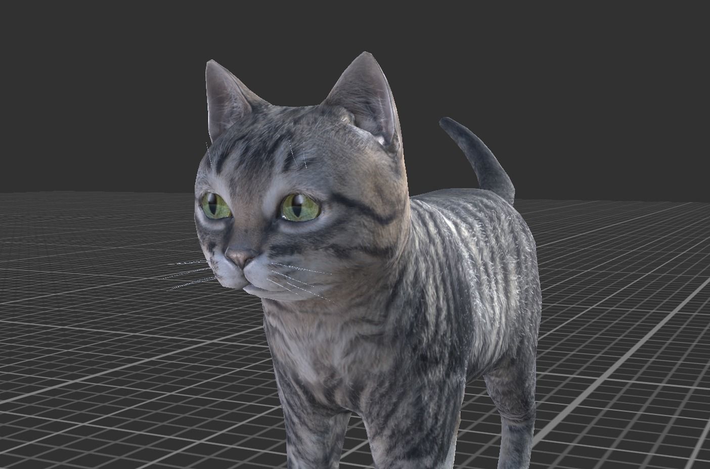 Kitten full Low-poly 3D model_5