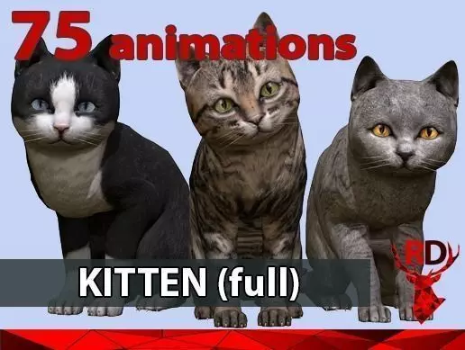 Kitten full Low-poly 3D model_0