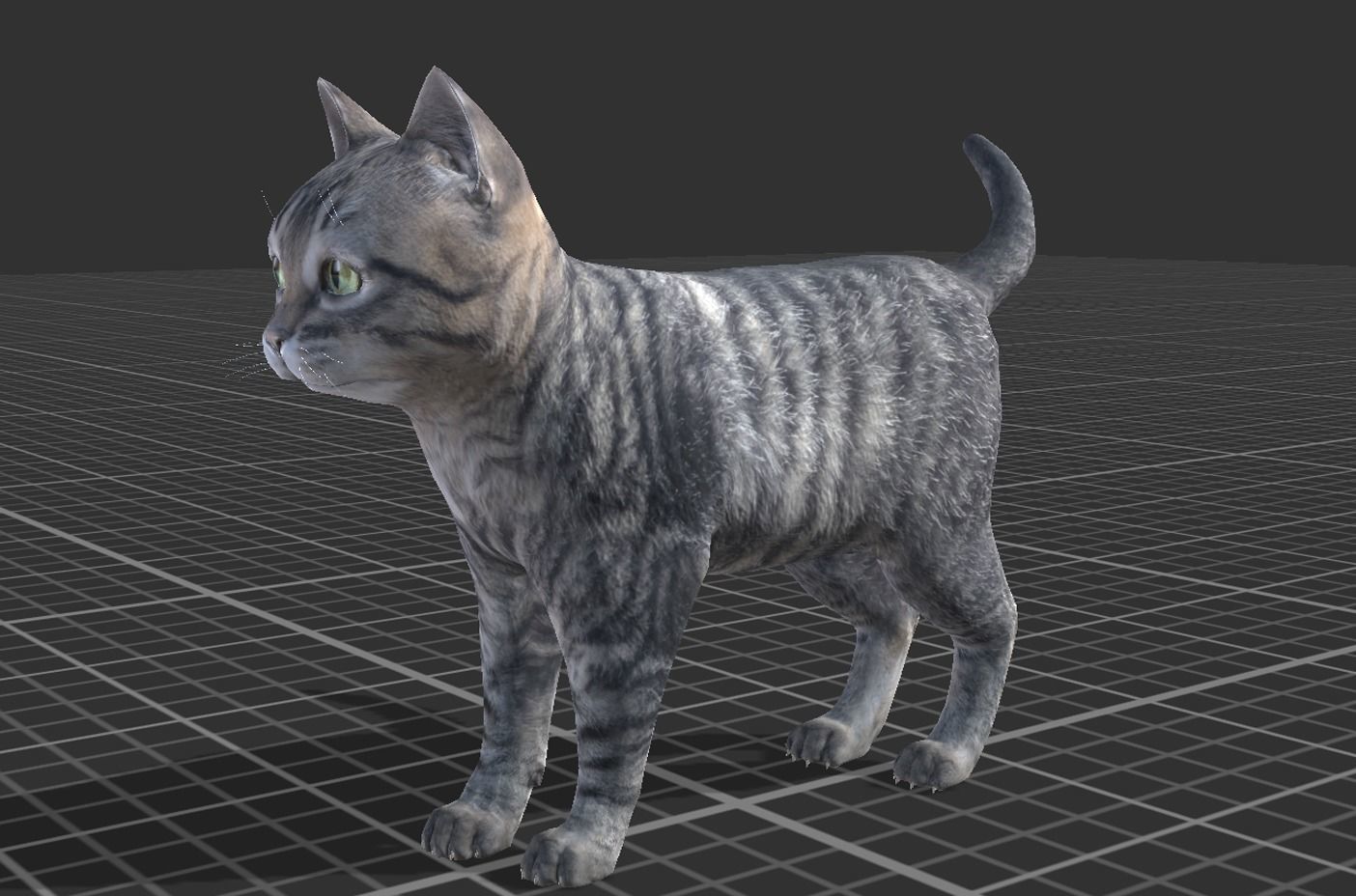 Kitten full Low-poly 3D model_4