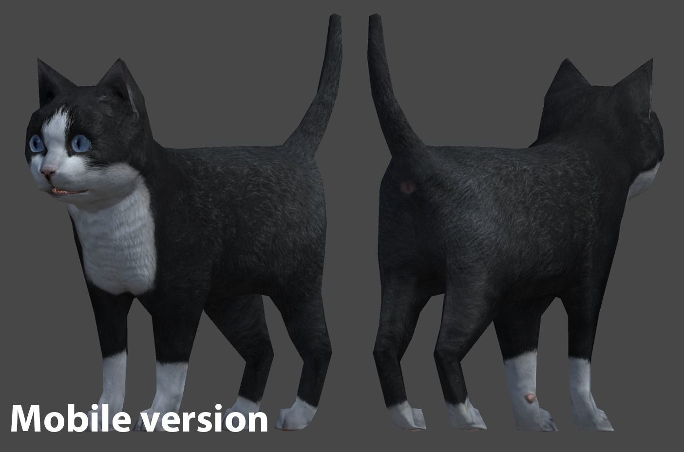 Kitten full Low-poly 3D model_14