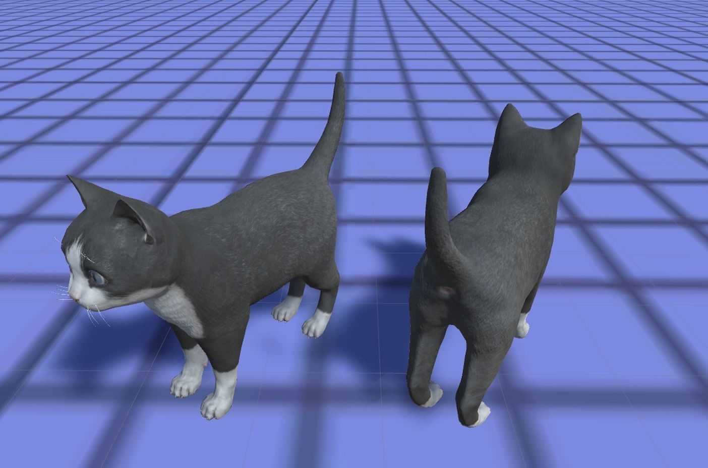 Kitten full Low-poly 3D model_11