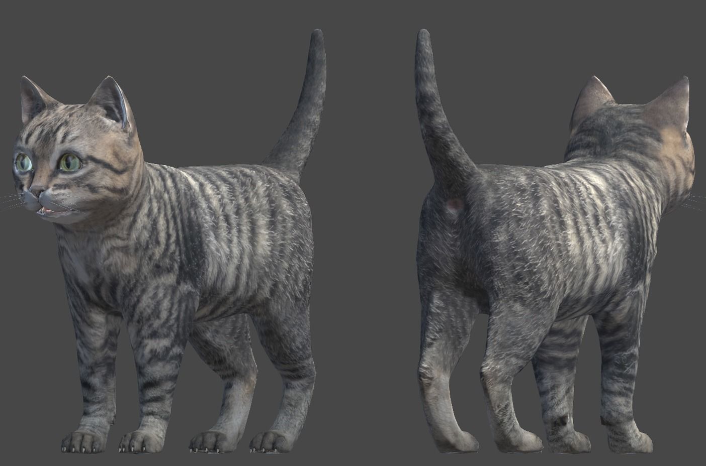 Kitten full Low-poly 3D model_12