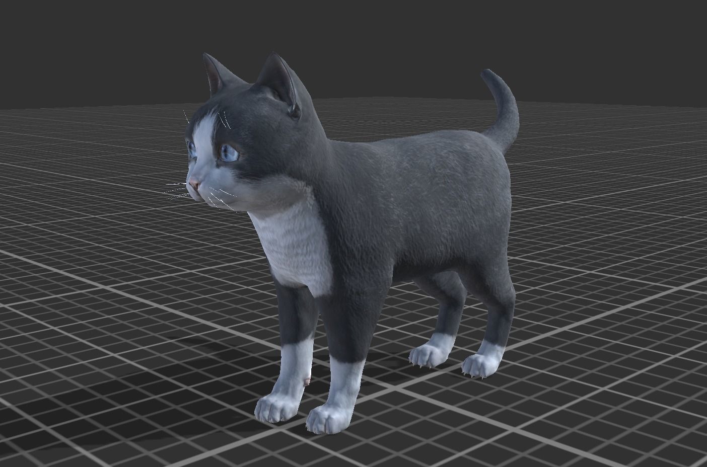 Kitten full Low-poly 3D model_2