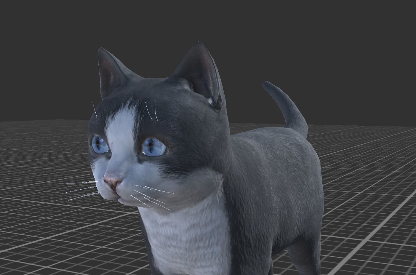 Kitten full Low-poly 3D model_3