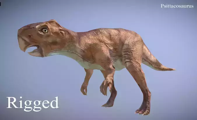 Thai Dinosaur Psittacosaurus Low-poly 3D model