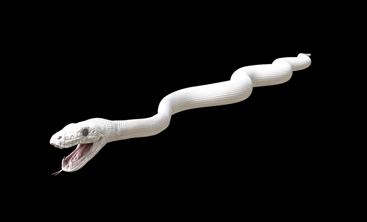 Green Boa Low-poly 3D model_13