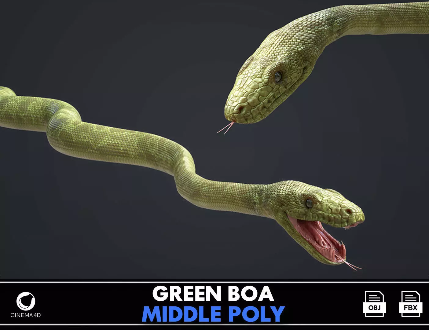 Green Boa Low-poly 3D model_0