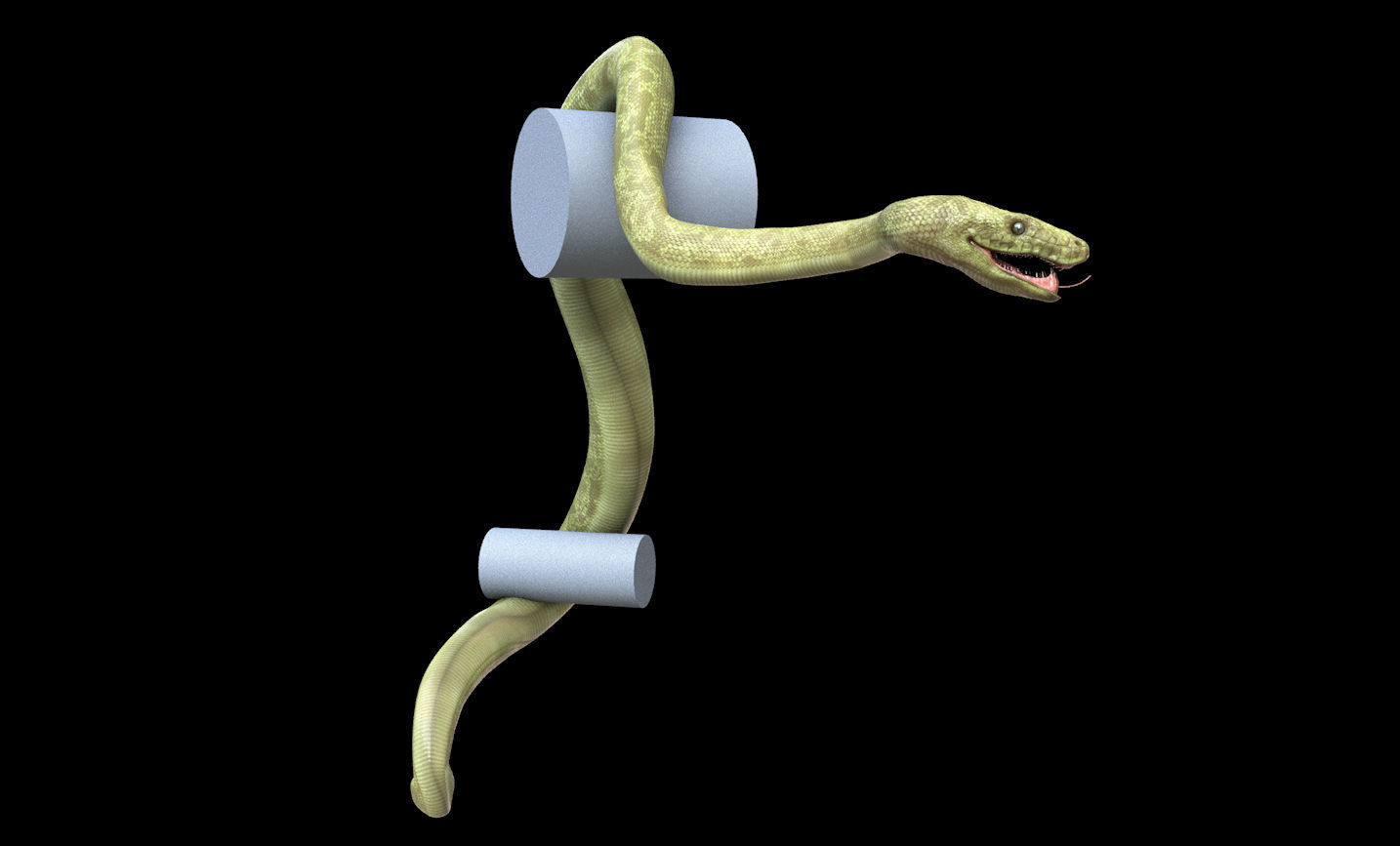 Green Boa Low-poly 3D model_5