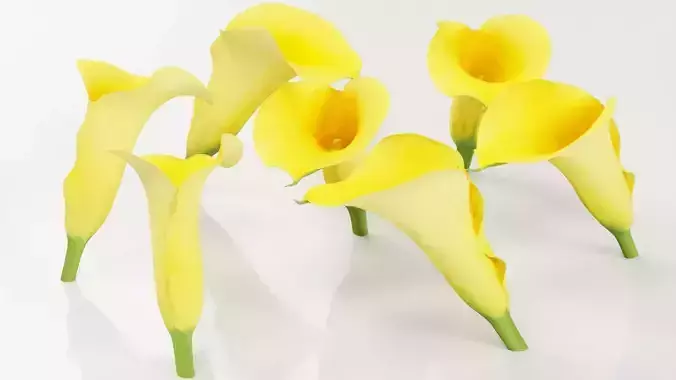 Calla Lily Yellow Low-poly 3D model