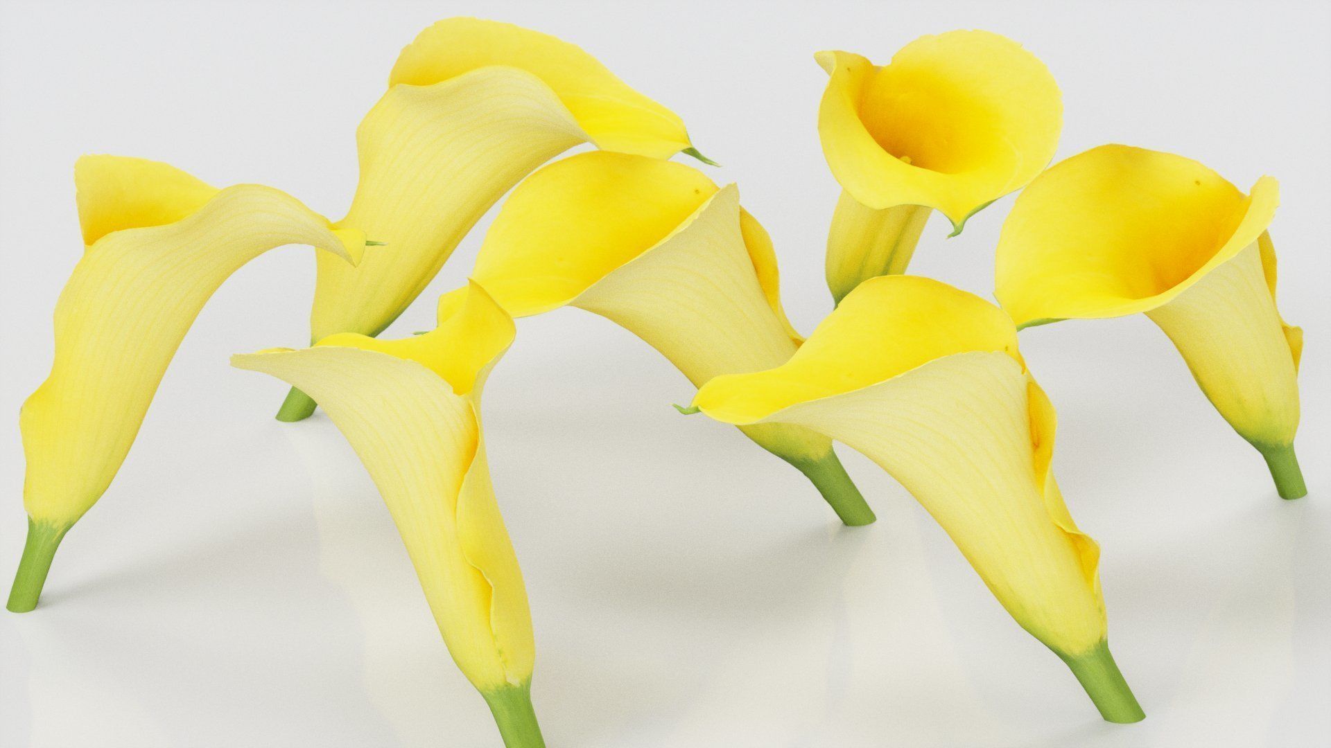 Calla Lily Yellow Low-poly 3D model_1