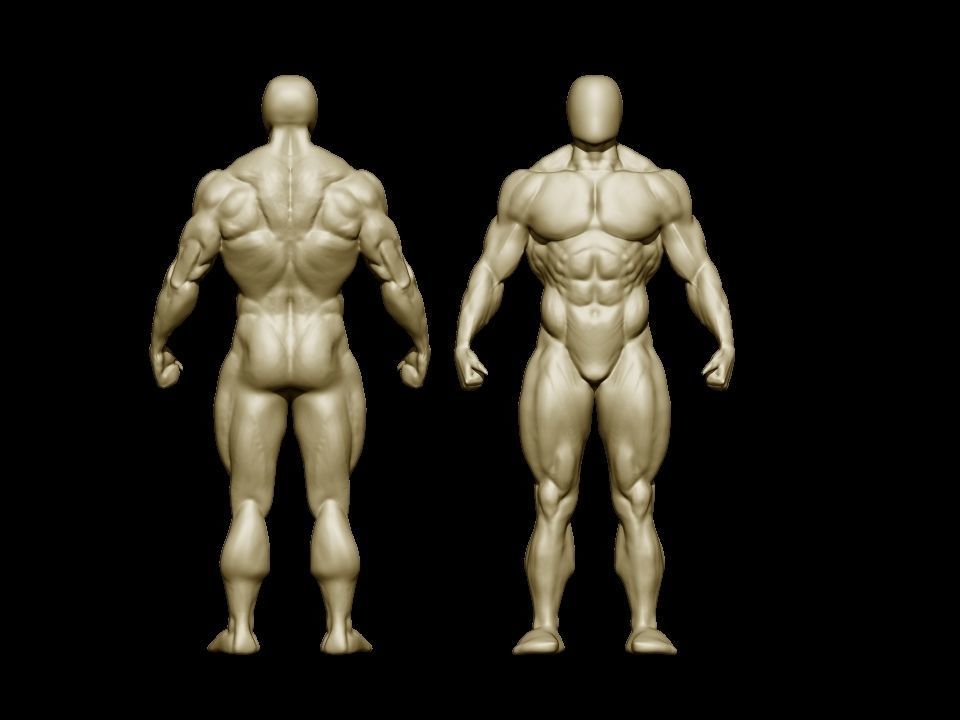 bodybuilder human body Low-poly 3D model_33