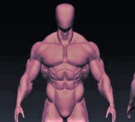 bodybuilder human body Low-poly 3D model_7