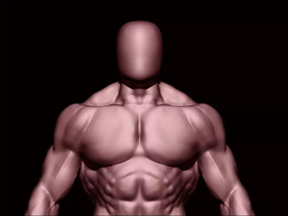 bodybuilder human body Low-poly 3D model_0
