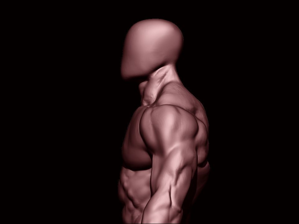 bodybuilder human body Low-poly 3D model_19