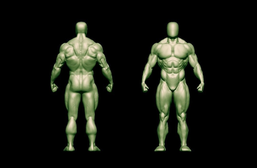 bodybuilder human body Low-poly 3D model_32