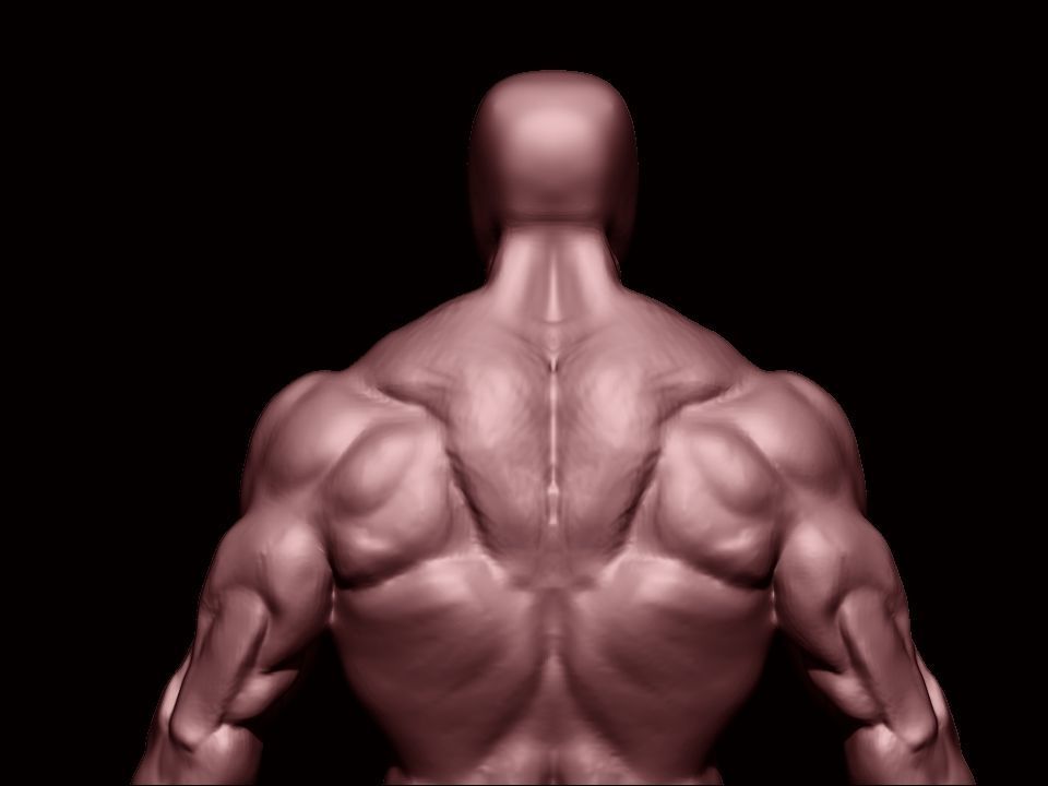 bodybuilder human body Low-poly 3D model_20